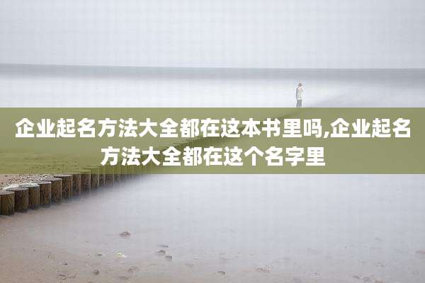 企业起名方法大全都在这本书里吗,企业起名方法大全都在这个名字里