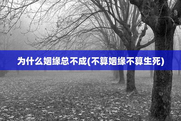 为什么姻缘总不成(不算姻缘不算生死)