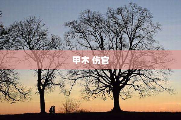 甲木 伤官