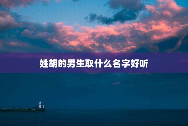 姓胡的男生取什么名字好听