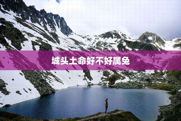城头土命好不好属兔