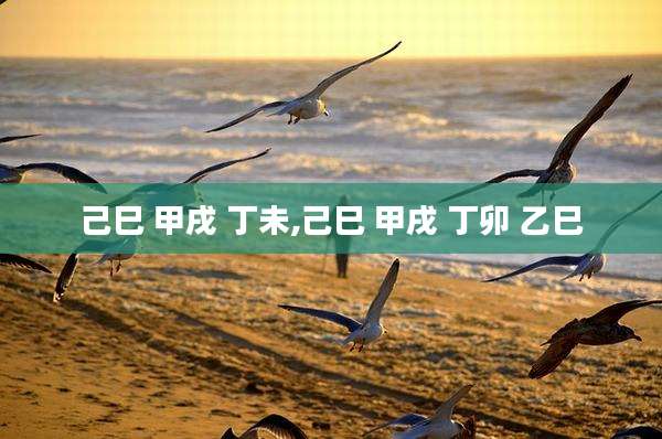 己巳 甲戌 丁未,己巳 甲戌 丁卯 乙巳