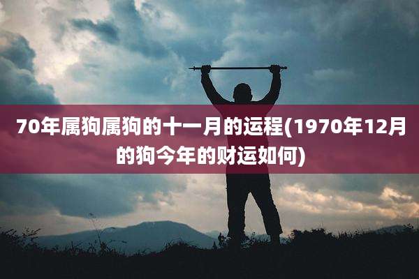 70年属狗属狗的十一月的运程(1970年12月的狗今年的财运如何)