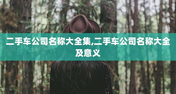 二手车公司名称大全集,二手车公司名称大全及意义