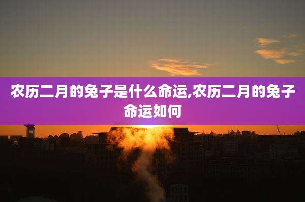 农历二月的兔子是什么命运,农历二月的兔子命运如何
