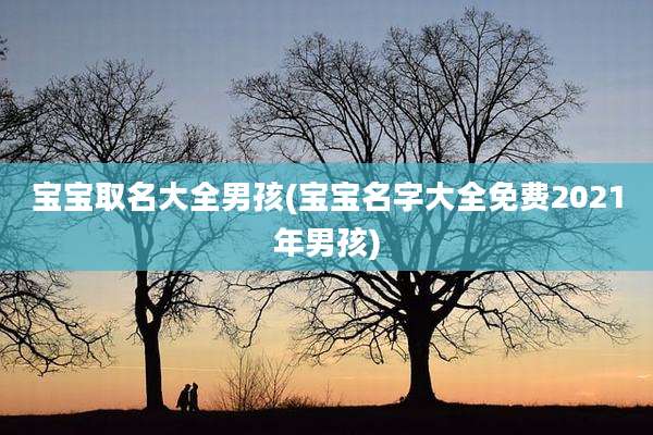 宝宝取名大全男孩(宝宝名字大全免费2021年男孩)
