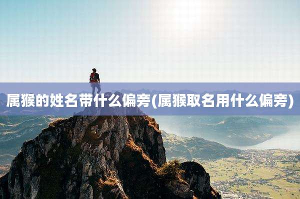 属猴的姓名带什么偏旁(属猴取名用什么偏旁)