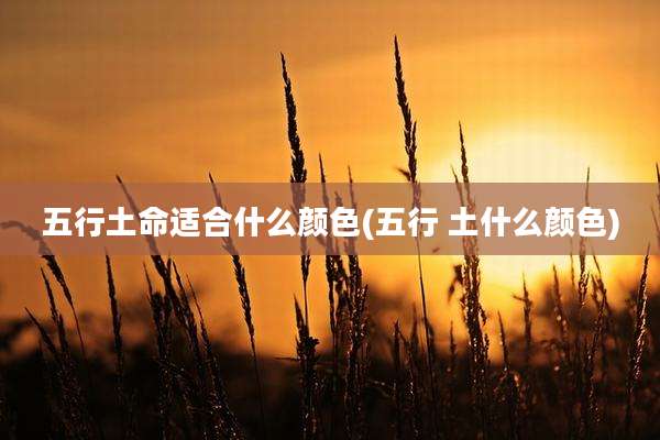 五行土命适合什么颜色(五行 土什么颜色)