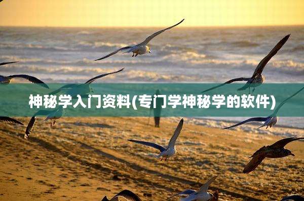 神秘学入门资料(专门学神秘学的软件)