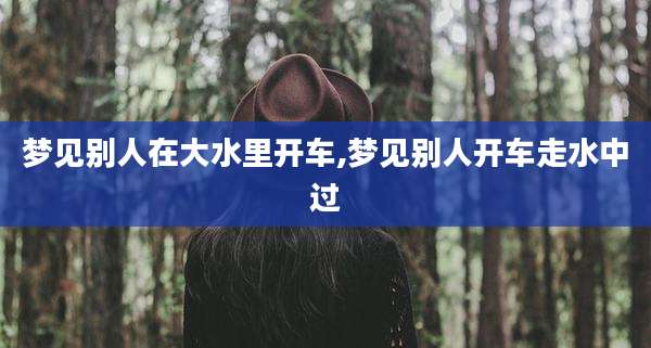梦见别人在大水里开车,梦见别人开车走水中过