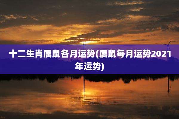 十二生肖属鼠各月运势(属鼠每月运势2021年运势)