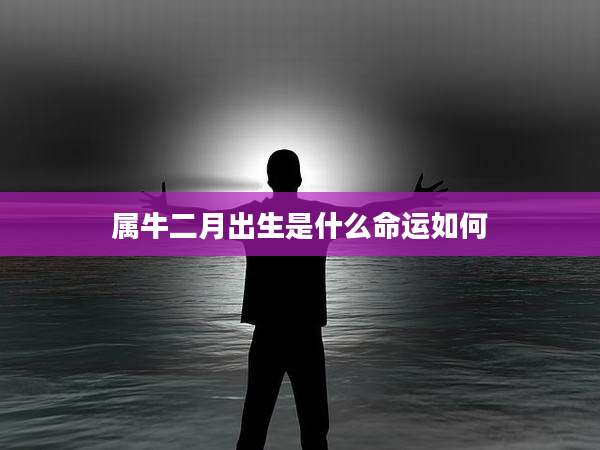 属牛二月出生是什么命运如何