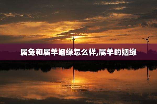 属兔和属羊姻缘怎么样,属羊的姻缘