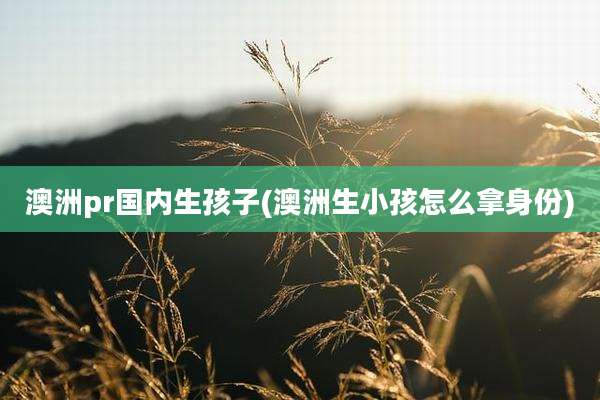 澳洲pr国内生孩子(澳洲生小孩怎么拿身份)