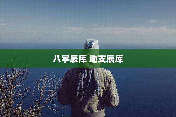 八字辰库 地支辰库