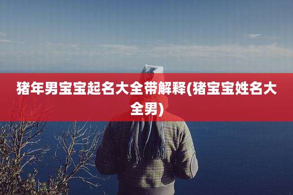 猪年男宝宝起名大全带解释(猪宝宝姓名大全男)