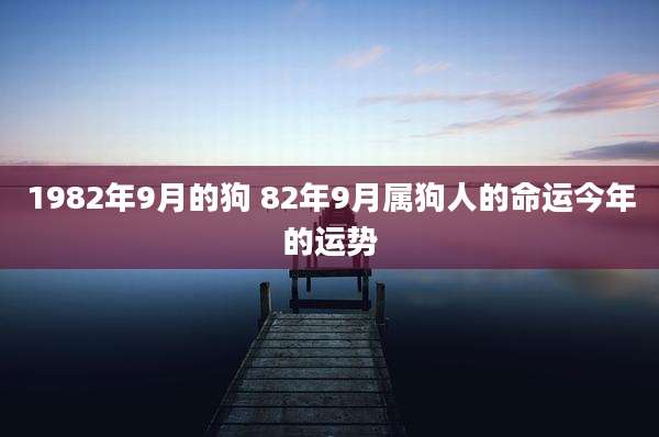1982年9月的狗 82年9月属狗人的命运今年的运势