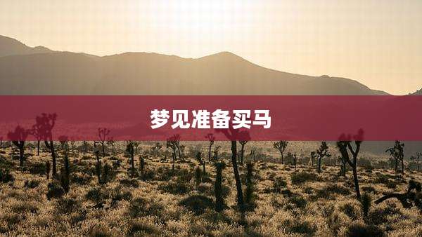 梦见准备买马