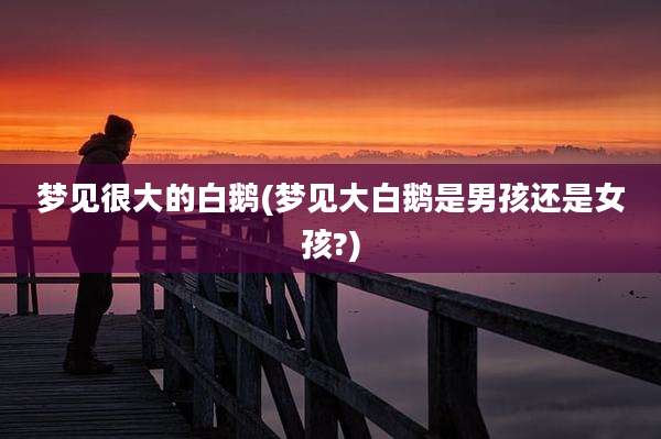 梦见很大的白鹅(梦见大白鹅是男孩还是女孩?)