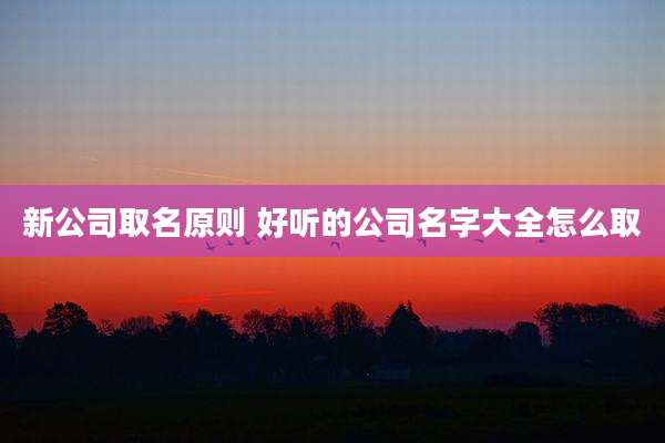 新公司取名原则 好听的公司名字大全怎么取