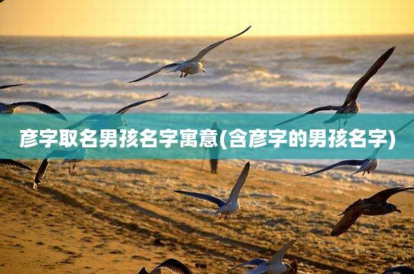彦字取名男孩名字寓意(含彦字的男孩名字)