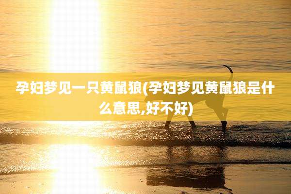 孕妇梦见一只黄鼠狼(孕妇梦见黄鼠狼是什么意思,好不好)