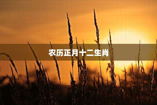 农历正月十二生肖