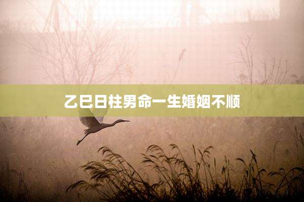 乙巳日柱男命一生婚姻不顺