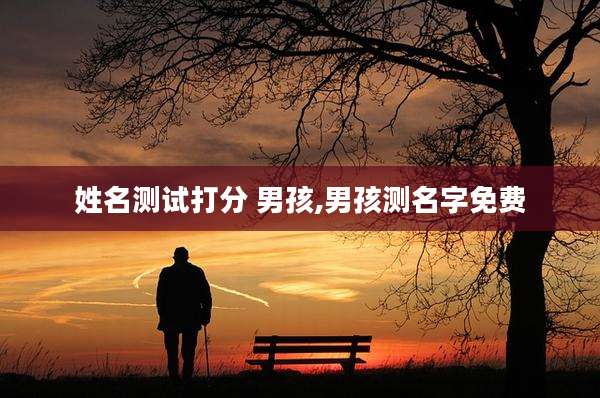姓名测试打分 男孩,男孩测名字免费