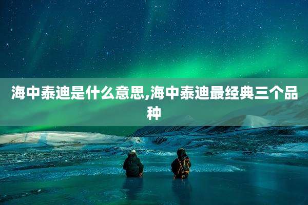 海中泰迪是什么意思,海中泰迪最经典三个品种