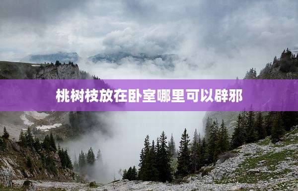 桃树枝放在卧室哪里可以辟邪