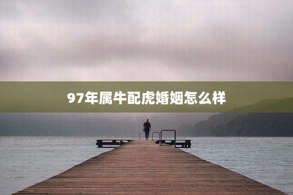 97年属牛配虎婚姻怎么样