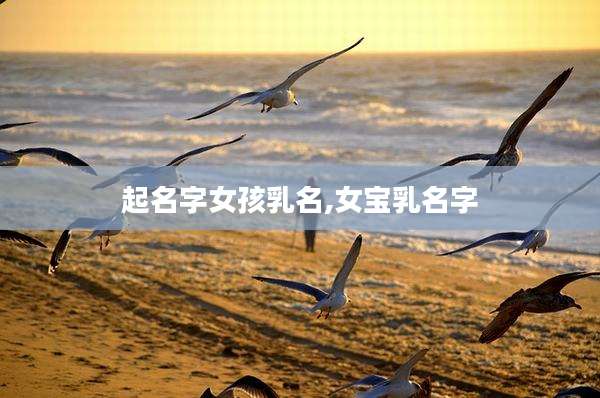起名字女孩乳名,女宝乳名字