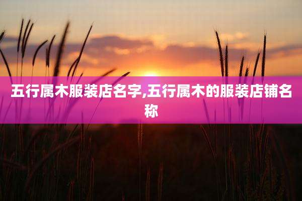 五行属木服装店名字,五行属木的服装店铺名称