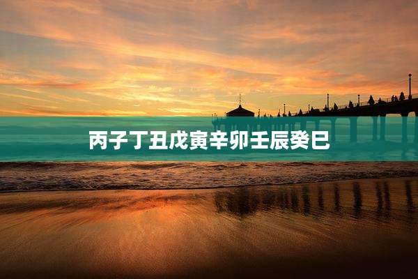 丙子丁丑戊寅辛卯壬辰癸巳