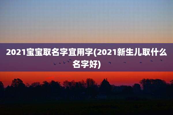 2021宝宝取名字宜用字(2021新生儿取什么名字好)