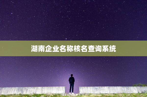 湖南企业名称核名查询系统