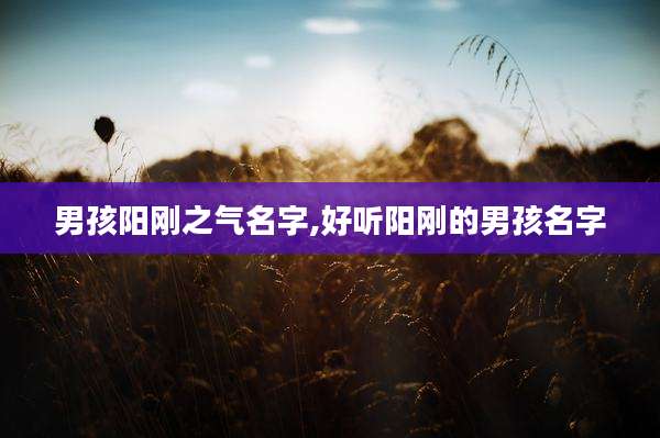 男孩阳刚之气名字,好听阳刚的男孩名字