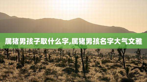 属猪男孩子取什么字,属猪男孩名字大气文雅