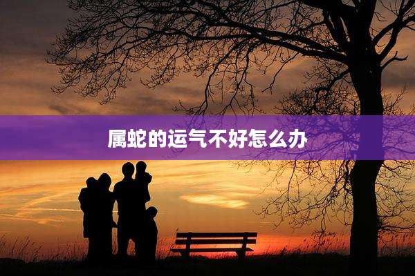属蛇的运气不好怎么办