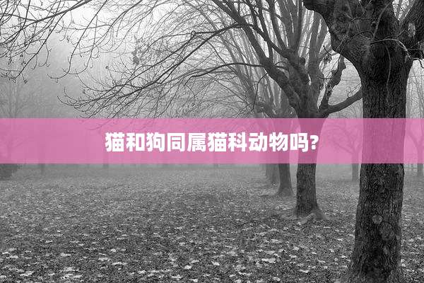 猫和狗同属猫科动物吗?