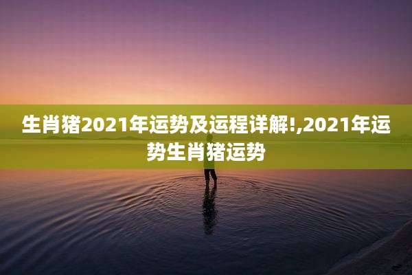 生肖猪2021年运势及运程详解!,2021年运势生肖猪运势