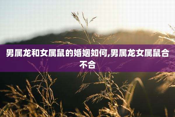 男属龙和女属鼠的婚姻如何,男属龙女属鼠合不合