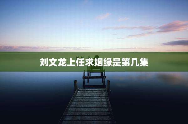 刘文龙上任求姻缘是第几集