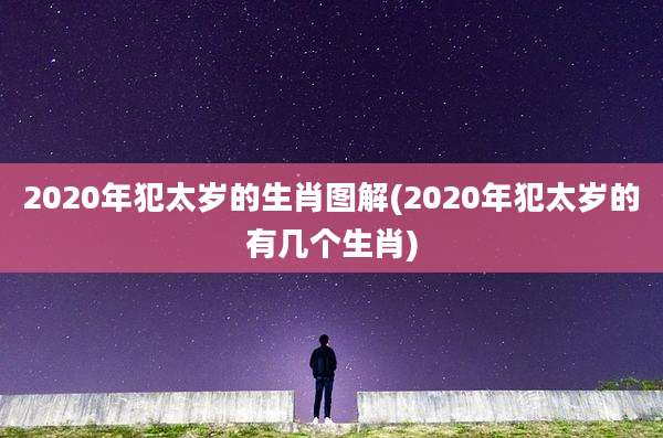 2020年犯太岁的生肖图解(2020年犯太岁的有几个生肖)