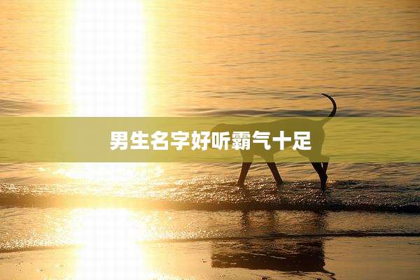 男生名字好听霸气十足