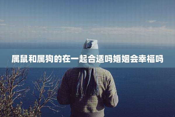 属鼠和属狗的在一起合适吗婚姻会幸福吗