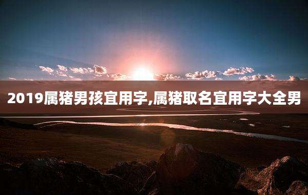 2019属猪男孩宜用字,属猪取名宜用字大全男