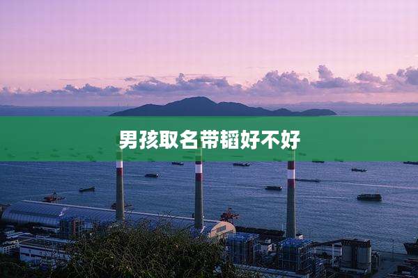男孩取名带韬好不好