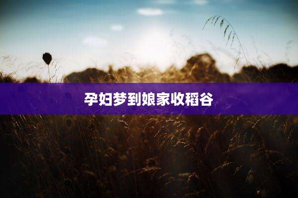 孕妇梦到娘家收稻谷